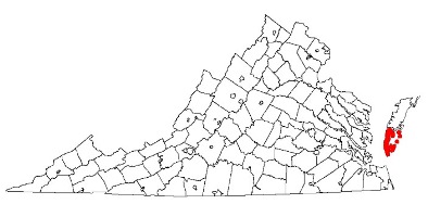 northampton county virginia fire, fire departments in northampton county, northampton county va fire stations, volunteer fire department, northampton county virginia, northampton county fire station numbers, northampton county fire jobs, northampton county live dispatch, northampton county fire departments, northampton county ems, northampton county ambulance, northampton county virginia firefighters