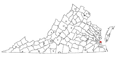 city of poquoson virginia fire, fire departments in city of poquoson, city of poquoson va fire stations, volunteer fire department, city of poquoson virginia, city of poquoson fire station numbers, city of poquoson fire jobs, city of poquoson live dispatch, city of poquoson fire departments, city of poquoson ems, city of poquoson ambulance, city of poquoson virginia firefighters