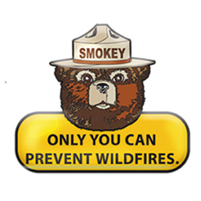 virginia firefighters, firefighter, va, va fire laws, burn season, virginia forest fire, open burning, controled burn, brush fire, woods fire, forest fire, va burn laws, outdoor fire laws