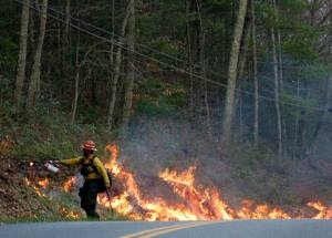 photo by Debbie M Moore