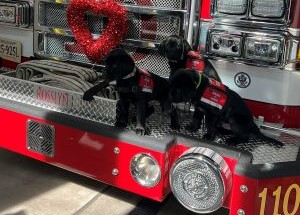 photo by Arlington County Fire Dept