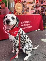 photo by Blacksburg VFD