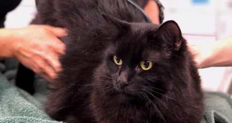 photo by Charlottesville Fire Department