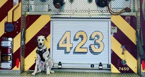 photo by Fairfax County Fire Rescue