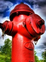 photo by Franklin Thomason