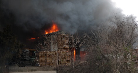 photo by Natasha Lockhart