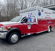 photo by Prince Edward Rescue