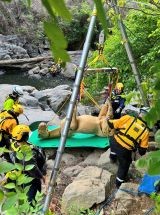 photo by Richmond FD