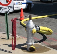 photo by Peter L Winthrop