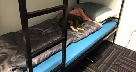 photo by Swoope Vol Fire Company