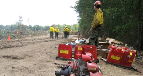 photo by US Fish and Wildlife Service - Northeast Region