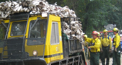 photo by US Fish and Wildlife Service - Northeast Region