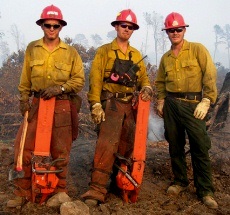 photo by US Fish and Wildlife Service - Northeast Region