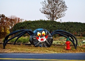 photo by W Blaine Pennington