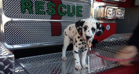 photo by Warrenton VFC