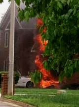 photo by Stephanie Flom