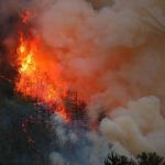 photo by Debbie M Moore