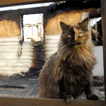 photo by Earl Neikirk