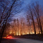 photo by Curtis Warwick