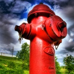 photo by Franklin Thomason