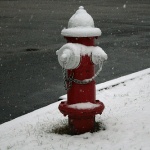 photo by Rebecca Morgan