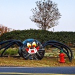 photo by W Blaine Pennington