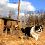 photo by Pat Jarrett